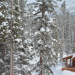 Winter Wonderland Decor Inspirations & Your Ultimate Shopping Guide